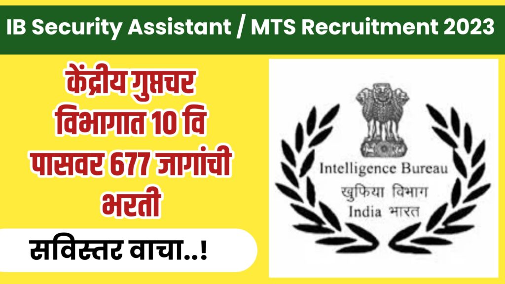 IB Security Assistant